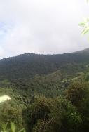ADLCH_Informacion_requerida_html_507dfd4