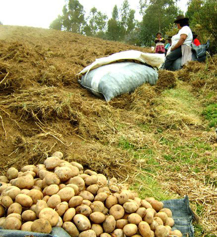 AGRICULTORES 2 2