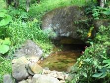 AGUAS_CALIENTES