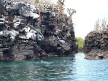 CANAL_DE_LAS_TINTORERAS