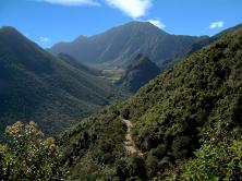 Camino_a_la_Caldera_del_Pululahua