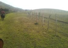 FICHA_html_5bdd551c