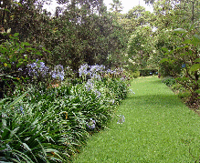 FOTOS_html_c65f542