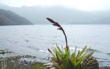 FOTO_9_LAGUNA_DE_PURUHANTA