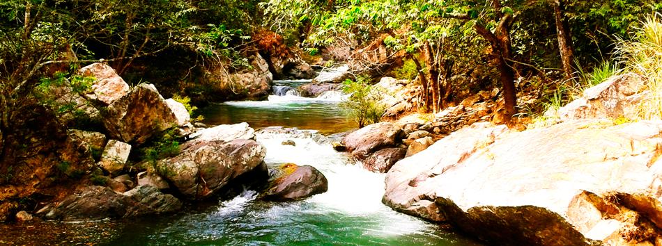 GUACHA
