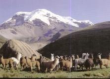 INFORMACIN_TURSTICA_DEL_CANTN__GUANO_html_m1a55df69