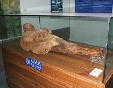 INFORMACIN_TURSTICA_DEL_CANTN__GUANO_html_m1ce94e36