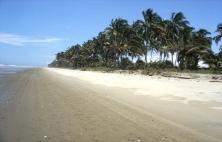 INFORMACION_AME_html_4c69e5f3