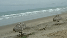 INFORMACION_PARA_AME_html_ma3b0e2a