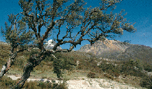INFORMACION_TURISMO_AME_html_304fc412