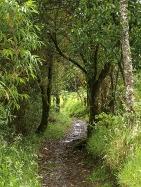 INFORMACION_TURISMO_AME_html_m4cb2a271