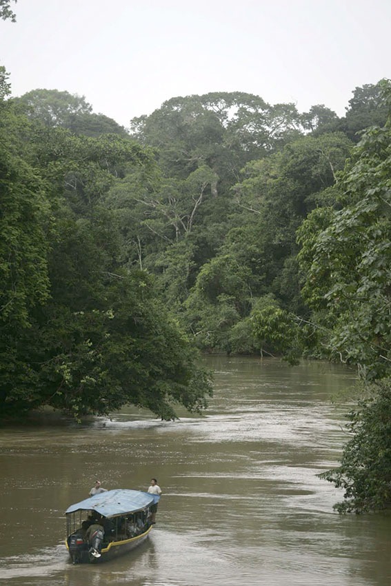 YASUNI 2
