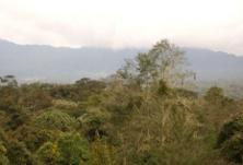 Yanayacu