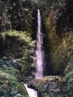 cascada_agua_clara