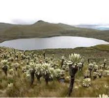 espejo_potrerillos1_sm