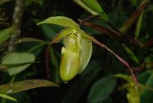 foto_6