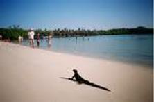 foto_isla_santa_cruz