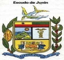 informacion_junin1_html_6075d5a6