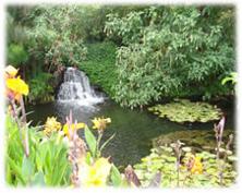 jardn_botnico
