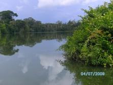 laguna_chamanal