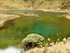 lahgunas_verdes