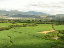 lugares_de_catamayo_20100323_1256855133