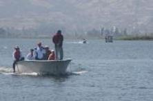 peq_bote16173249