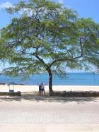 playa_html_10ed9ff3