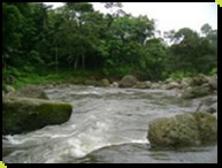 rio_caoni