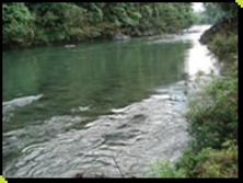rio_naranjal