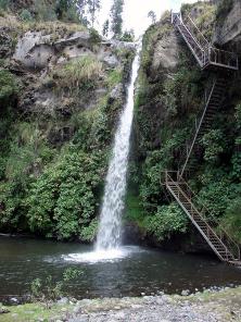 rumibosque