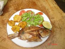 tilapia_html_m6e3d0c87