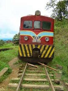 TREN