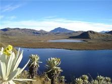 voladero
